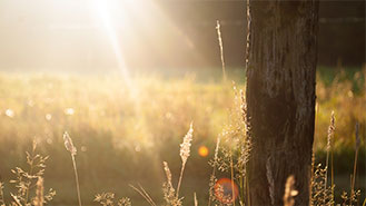 ddos服务器攻击手段