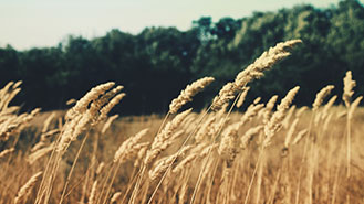 免费ddos平台攻击