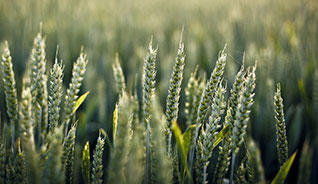 ddos服务器攻击手段