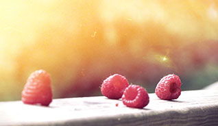 cc攻击免费网页版